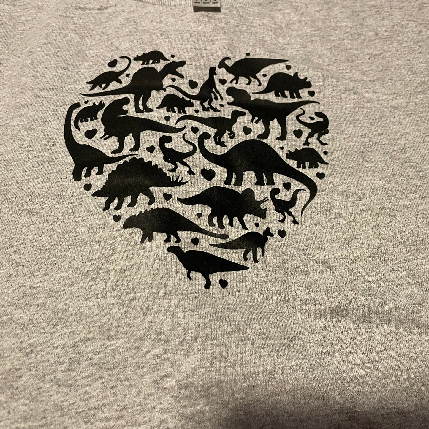 Childrens Youth dinosaur heart tees